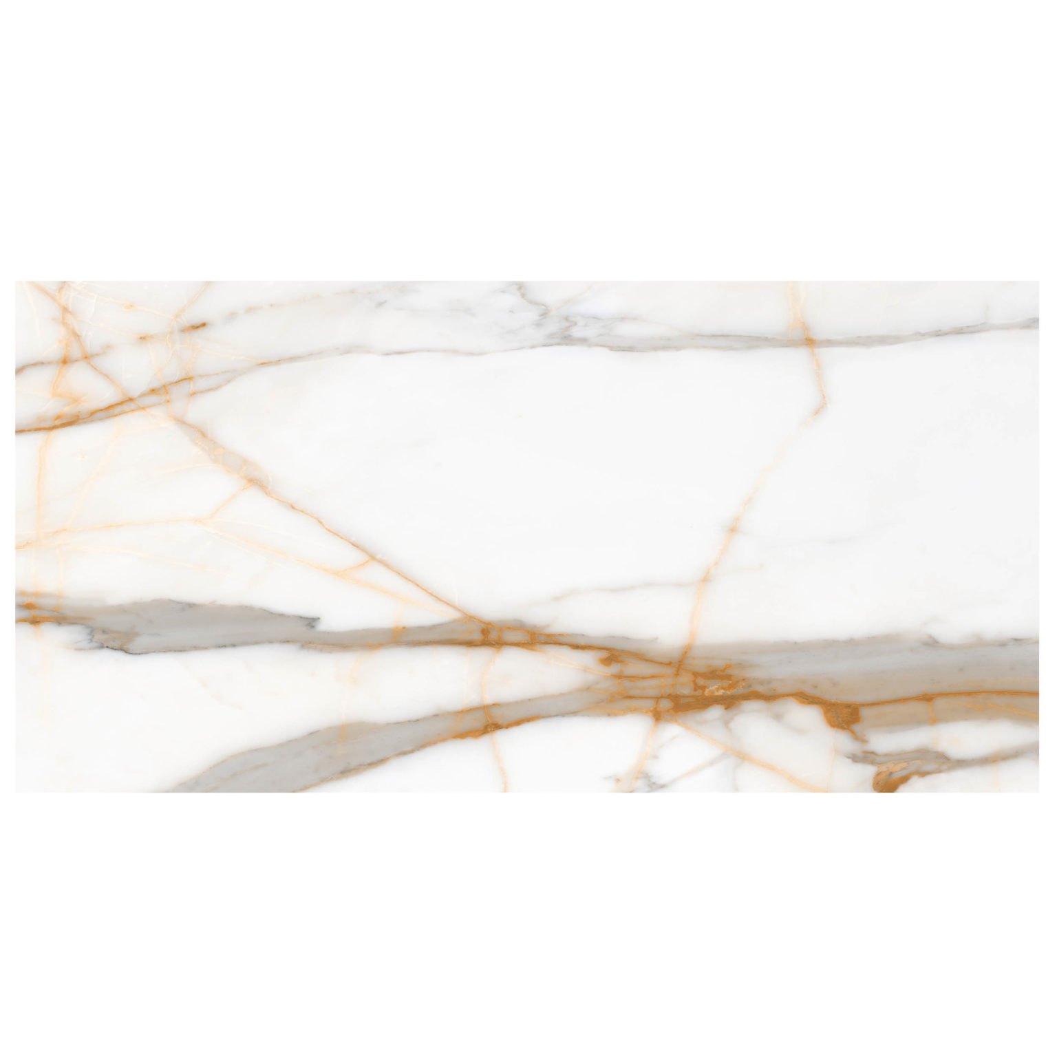 italia-oro-24x48-polished-anthology
