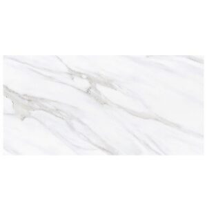 Carrara Essence 24x48 Matte