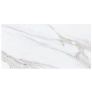 Carrara Essence 12x24 Matte
