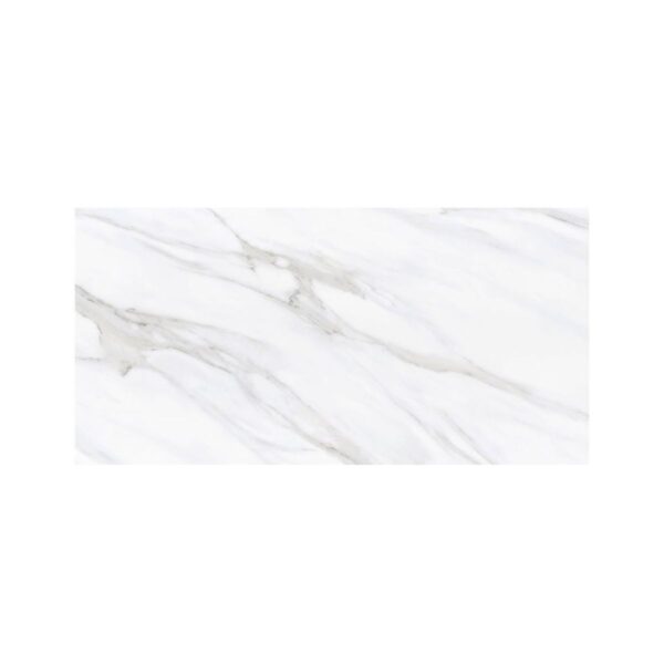 CARRARA ESSENCE 24X48 MATTE