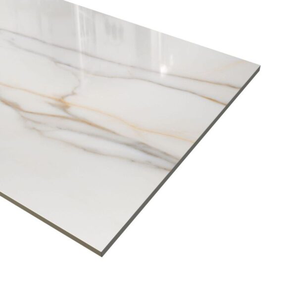 ITALIA ORO 24X48 POLISHED - Image 3