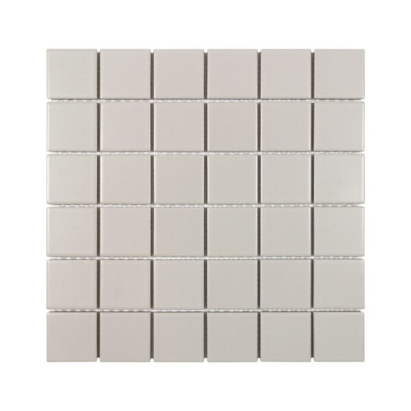 TAUPE MATTE 2X2 SQUARE PORC MOS