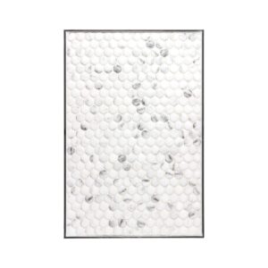 Carrara Pennies 12X18 Gb