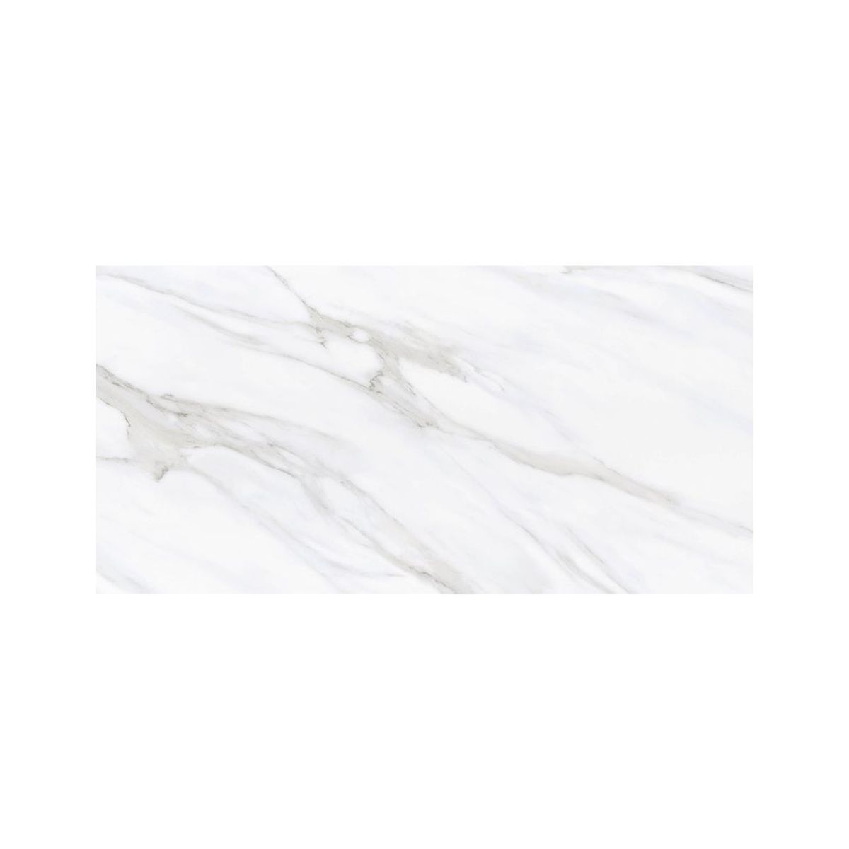 CARRARA ESSENCE 24X48 MATTE