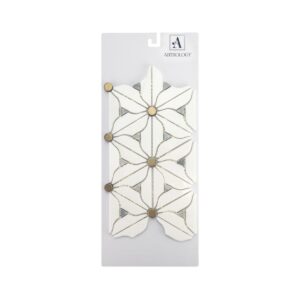 Daisy Layne Display Card